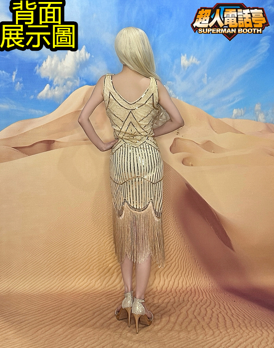 AS9124背面