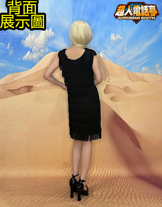 AS4017背面